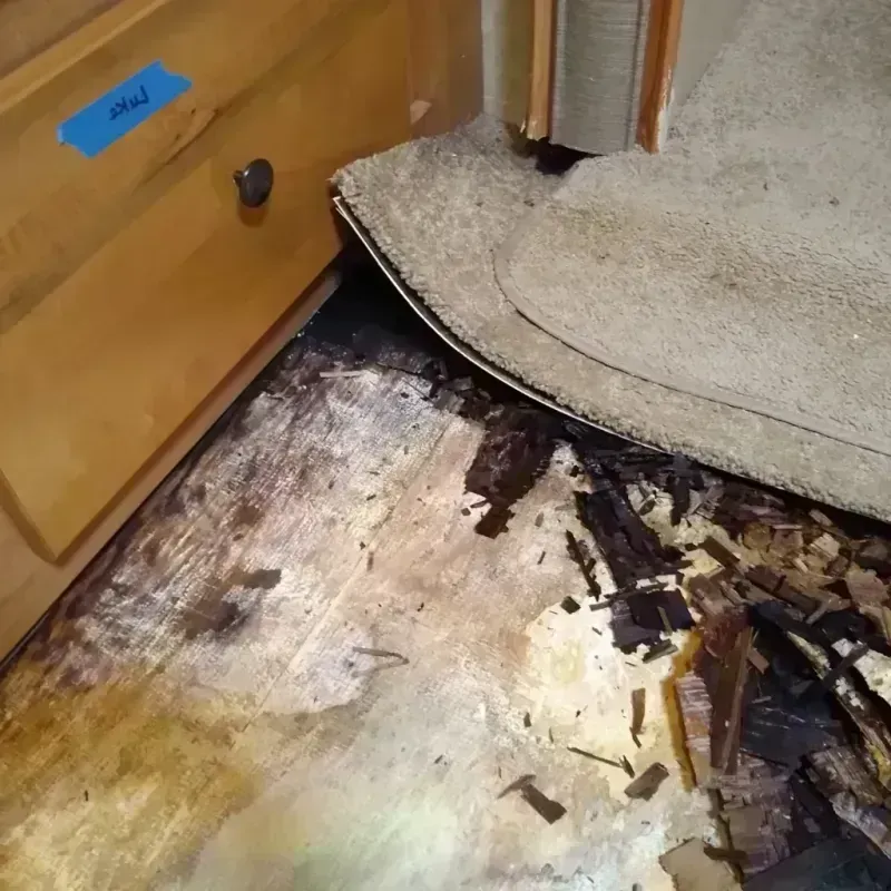 Wood Floor Water Damage in Greer County, OK